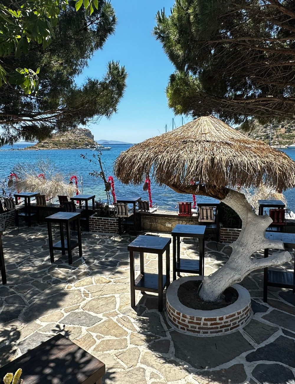 WhatsApp Image 2025-06-02 at 13.32.37 (1)