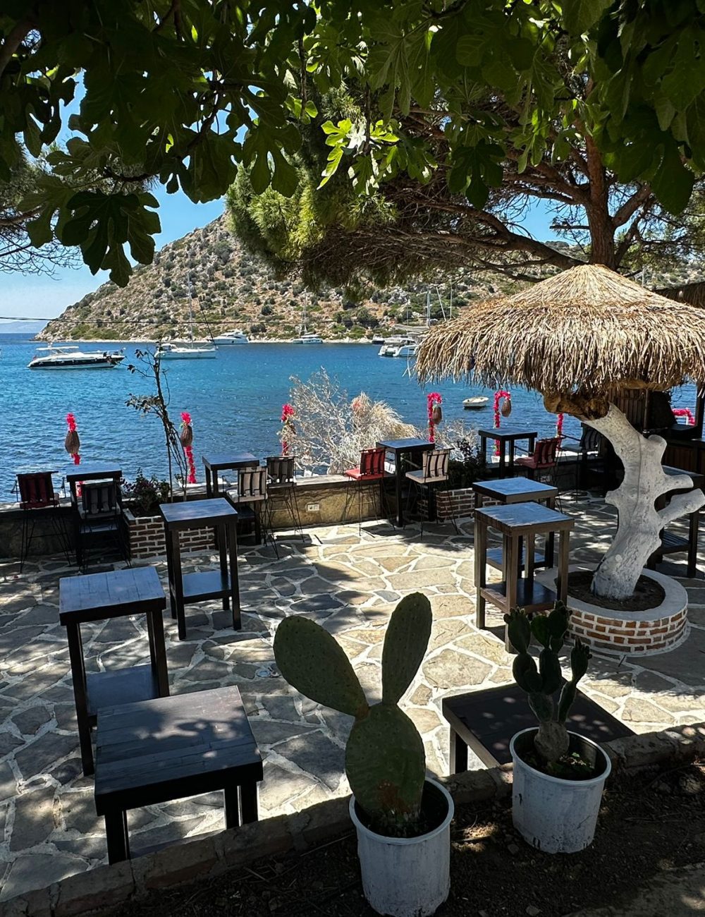 WhatsApp Image 2025-06-02 at 13.32.38